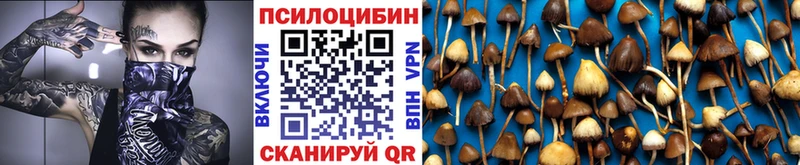 Галлюциногенные грибы мицелий  продажа наркотиков  Дубна 